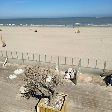 Plaza G2634 With Frontal Sea View Lägenhet *