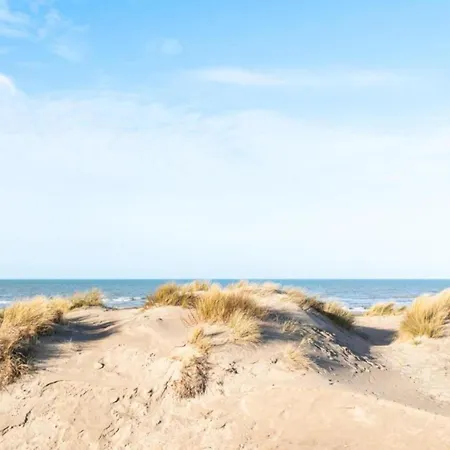 Plaza G2634 With Frontal Sea View Oostduinkerke